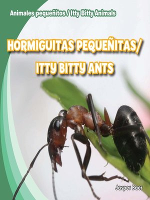 cover image of Hormiguitas pequeñitas / Itty Bitty Ants